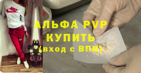 стаф Баксан