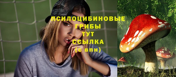 стаф Баксан