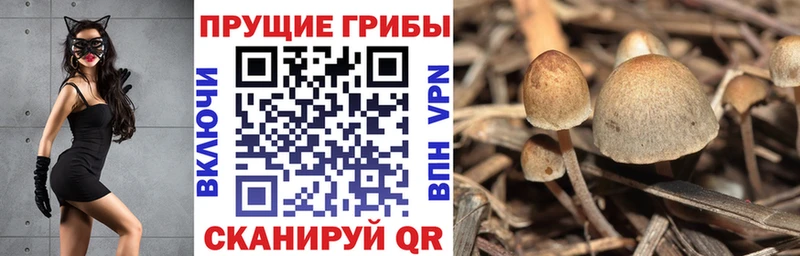 Галлюциногенные грибы мицелий МЕГА рабочий сайт Калуга